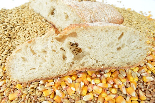Казахстан экспортировал 5,3 млн. тонн зерна и муки