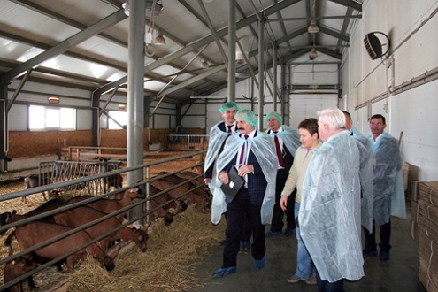 В Удмуртии ввели в эксплуатацию 28 новых объектов молочного скотоводства в прошлом году