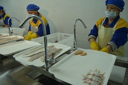 В Казахстане запустили еще один рыбный завод
