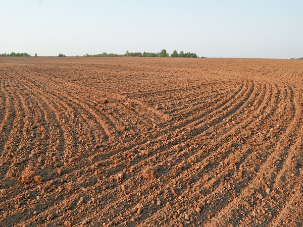 В Ульяновской области три района завершили яровой сев зерновых и зернобобовых культур