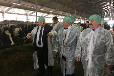 В Ленинградской области состоялось всероссийское совещание по молочному скотоводству