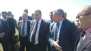Оренбургская и Актюбинская области объединили усилия для борьбы  с саранчой