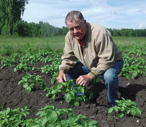 Камалову мало? Челябинский фермер предлагает «бесхозные» брошенные сельхозземли предоставлять крестьянам вне конкурса