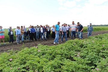 Алтайский фермер продемонстрировал, как производит семена картофеля высших репродукций