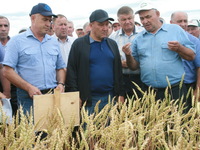 Минсельхозпрод Татарстана настоятельно рекомендует аграриям применять десиканты