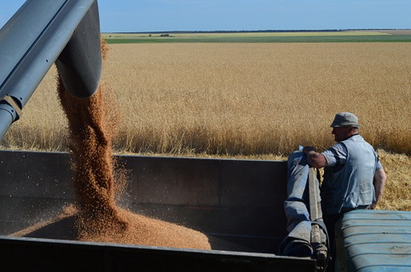 Саратовская область начала отгружать зерно нового урожая на экспорт