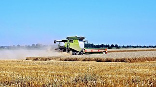 Хлеборобы Казахстана намолотили 14,7 млн. тонн зерна