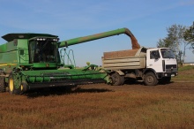 В Алтайском крае намолочено в бункерном весе около 3,5 млн тонн зерна