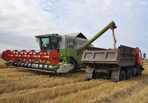 В Кузбассе намолотили 838 тыс. т зерна при средней урожайности 21,5 ц/га