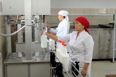 На юге Казахстана сельскохозяйственный кооператив увеличил производство шубата
