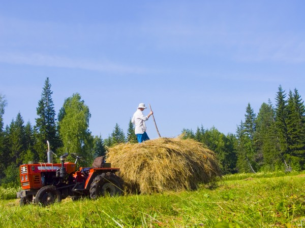 Фермерские хозяйства Свердловской области вошли в число лучших в России