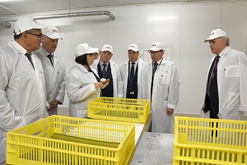 В Тюменской области открыт крупный комплекс по производству и переработке индейки