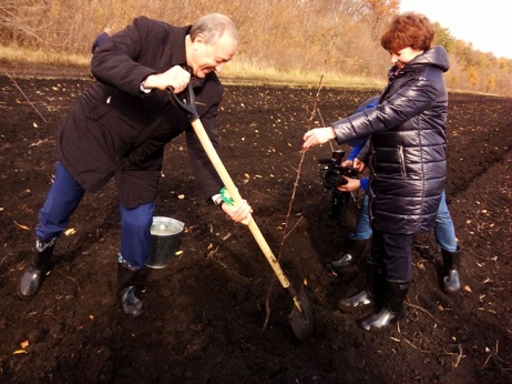 За последние три года Саратовская область стала регионом-лидером Поволжья по садоводству
