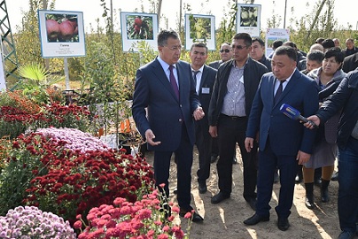 На юге Казахстана растет площадь интенсивных садов
