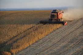 В Чувашии продолжается рост сельхозпроизводства