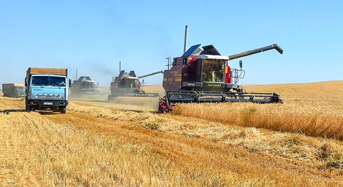 Урожай-2017: аграрии Южно-Казахстанской области собрали около 600 тысяч тонн зерновых культур