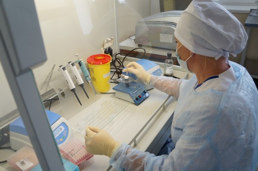 В Саратовской области ветслужба провела более 3 млн диагностических исследований в 2017 году