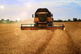 В Казахстане Продкорпорация возобновляет закуп зерновых