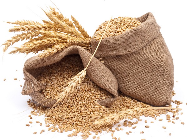 Темпы реализации пшеницы в Сибири и на Урале сохраняться в ближайшие месяцы невысокими