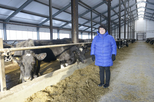 Заводоуковские аграрии добились высокой молочной продуктивности и урожайности свыше 50 ц/га