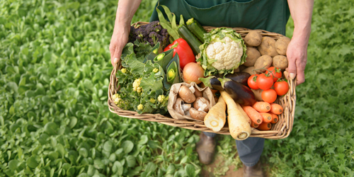 Союз органического земледелия представил в Минсельхозе РФ предложения  по мерам развития органического сельского хозяйства.