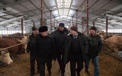 The head of Krasnoyarsk Krai inspected work of agricultural enterprises of the Abansky area
