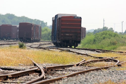 Курганская область внесла предложение ввести поддержку аграриев, приобретающих вагоны для перевозки зерна