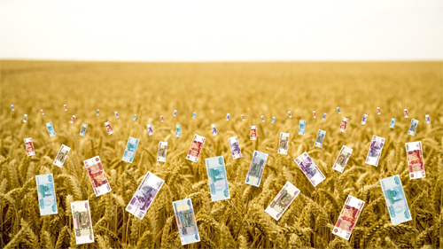 Как превратить зерно в деньги?