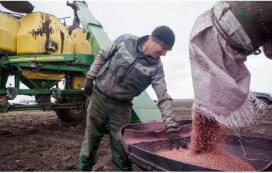 Аграрии Новосибирской области полностью обеспечены семенами к предстоящей посевной