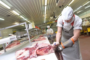 В Павлодарском крае обсудили концепцию национальной стратегии развития мясного животноводства