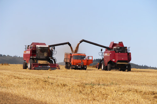Постоянно растущий экспорт зерновых –стабильность зернового рынка России