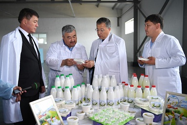 На юге Казахстана запустили первое производство по переработке козьего молока