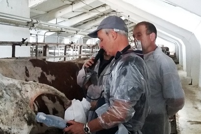 В Мордовии состоялся республиканский семинар-практикум по воспроизводству крупного рогатого скота