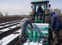 В Самарской области предприятие развивает производство садовой земляники под капельным орошением