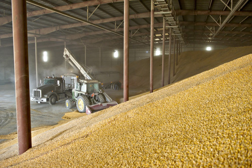 О мерах государственного регулирования вопросов хранения зерна и зернопродуктов в целях повышения эффективности  зернового подкомплекса