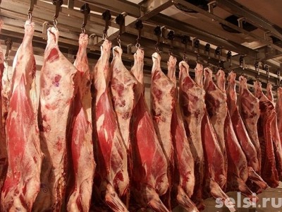 В Казахстане наращивают экспортный потенциал мяса КРС