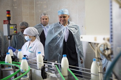 В Кузбассе дан старт региональному проекту «Стакан молока в день – каждому работающему»