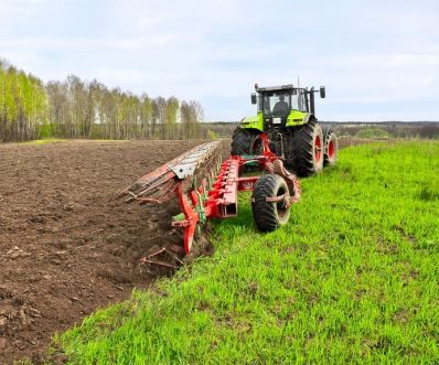 В Томской области зерновыми засеяно 43 процента посевных площадей