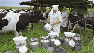 Зауралье: Варгашинский и Мокроусовский районы - в поиске нового партнера по закупу молока