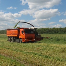 Во всех районах Томской области ведут заготовку кормов для животноводства