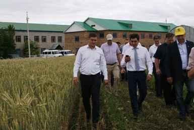 В Башкортостане стремятся получать 10 тыс. рублей прибыли с 1 га путем использования новых сортов и технологий