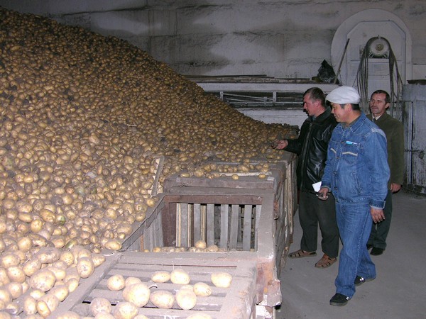 Тюменским кооперативам помогут ориентироваться в закупках сельхозпродукции