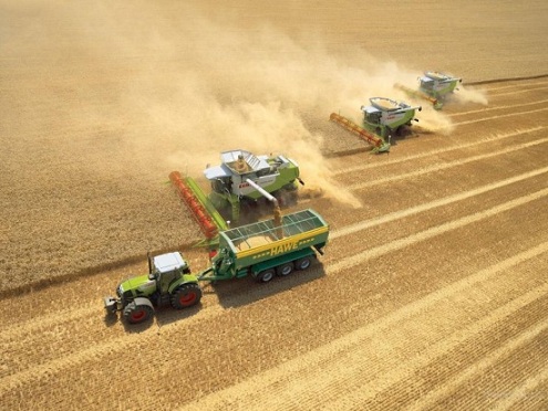 В Башкортостане убрана десятая часть зерновых и зернобобовых культур 