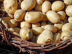 Ведущие производители картофеля из России, ближнего зарубежья и Европы соберутся на Среднем Урале