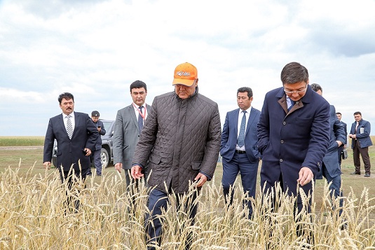 В Казахстане проведена оцифровка 23 млн га земли или 95,9% от общей посевной площади