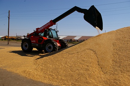 На российском рынке зерна преобладает рост цен 