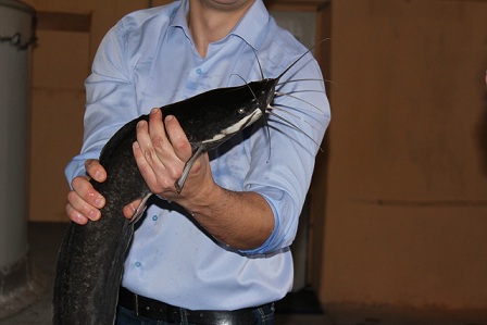 Нижегородские рыбоводы пройдут обучение в рамках региональной программы