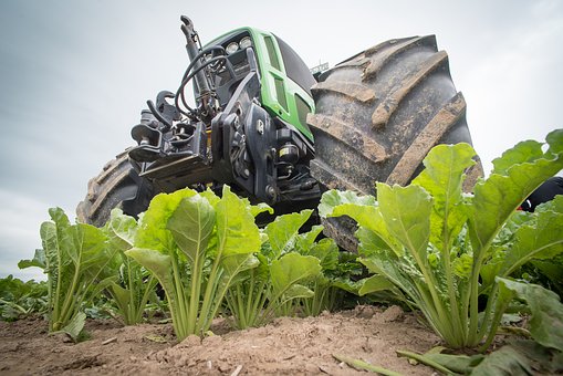 В Татарстане агрохолдинг направил на уборочную кампанию 1,3 млрд рублей 