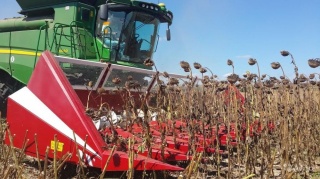 Оренбургская область заняла 4-е место в ПФО по намолоту зерновых и зернобобовых культур 
