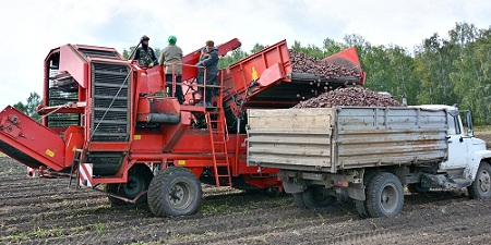 Челябинская область: сельхозсезон оказался успешным и по сбору урожая, и по ценам на зерно